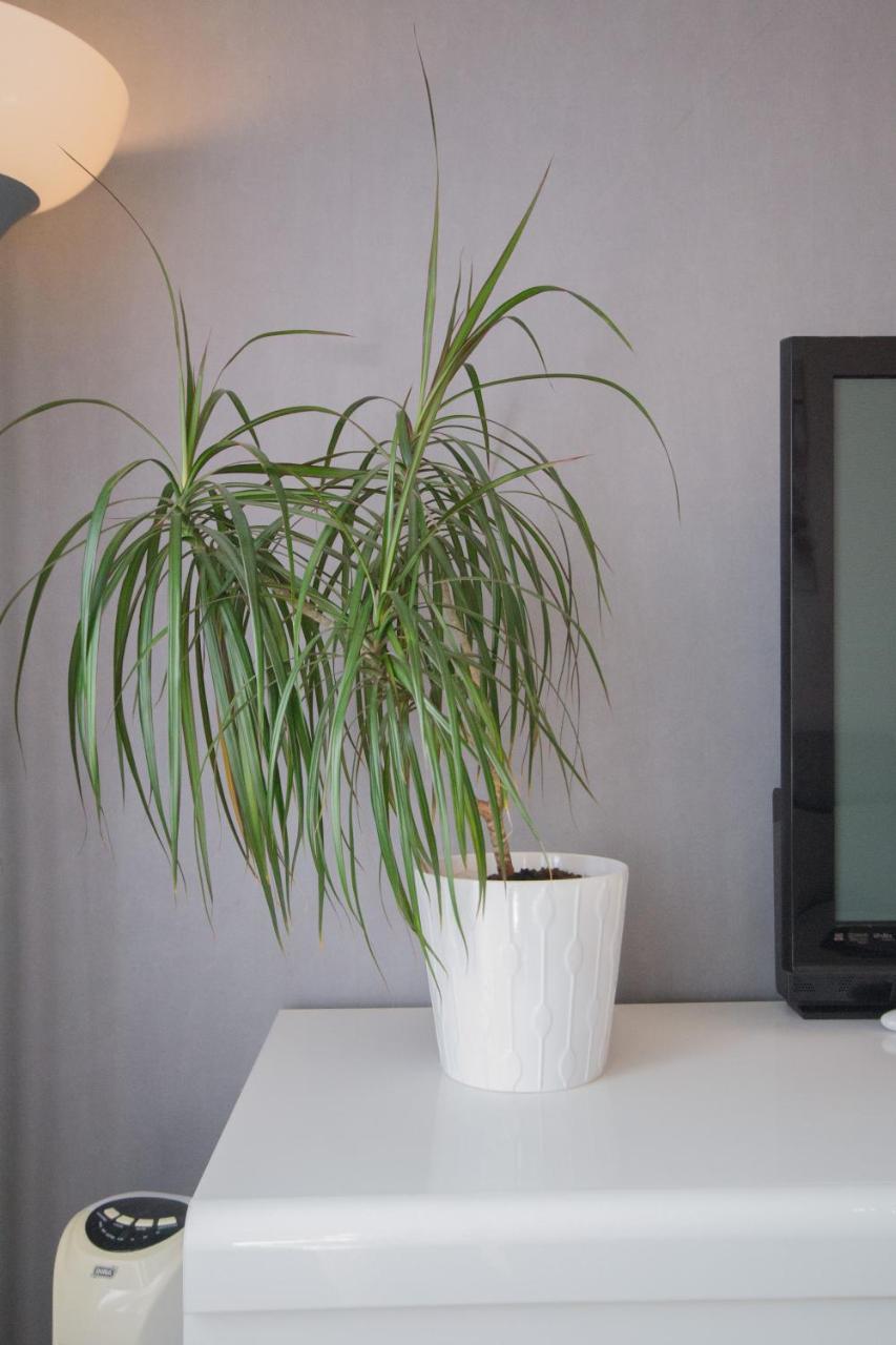 Spot'In - Dijon Milsand Apartment Luaran gambar